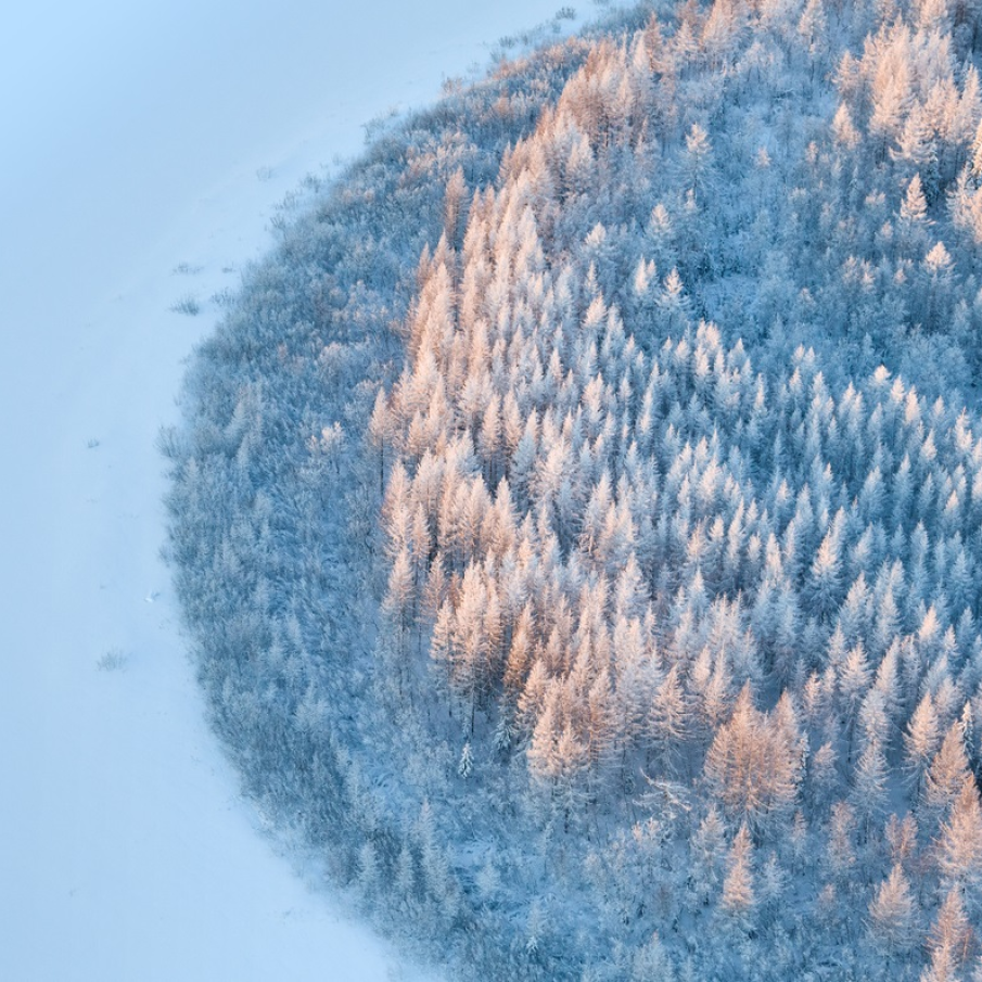 Lectie de flexibilitate: Pădurea de pe malul râului într-o zi de iarnă 