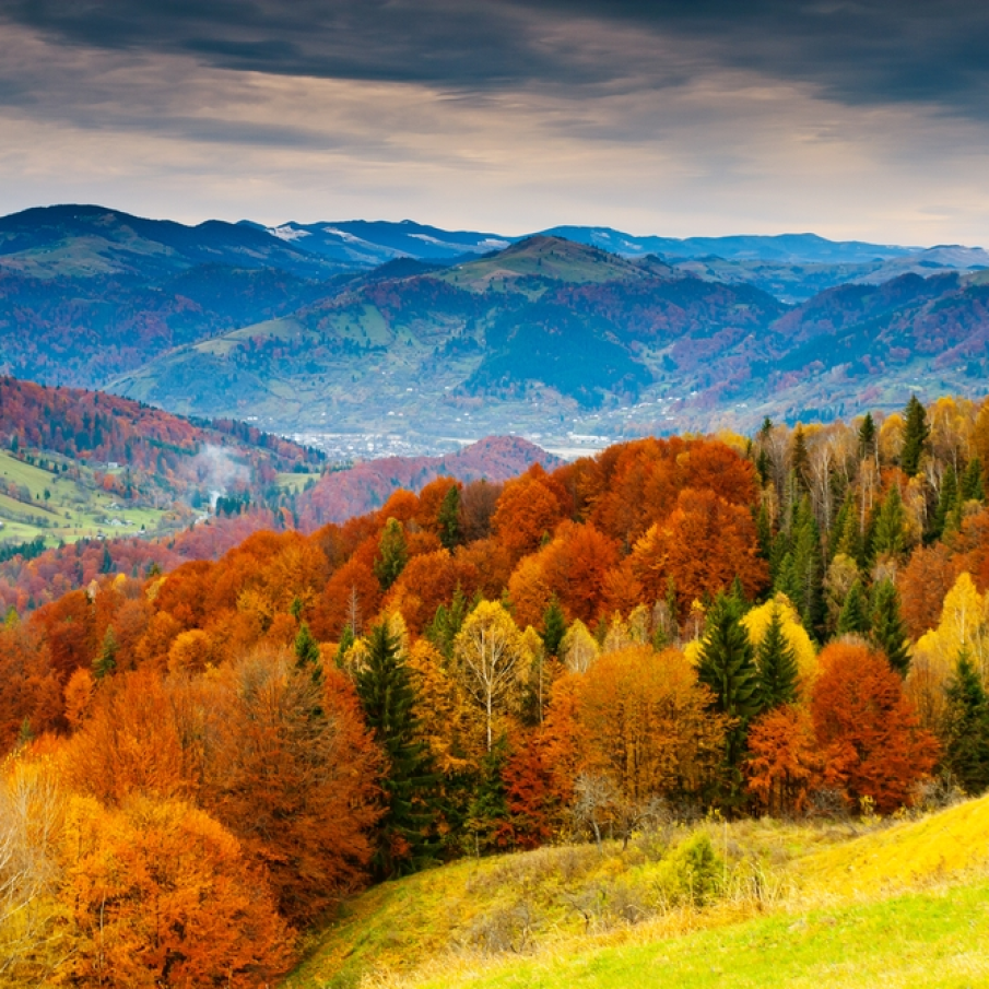 Miros si culoare de toamna