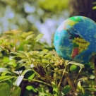 Planeta Noastră, serialul de istorie naturală va fi lansat pe 5 aprilie 