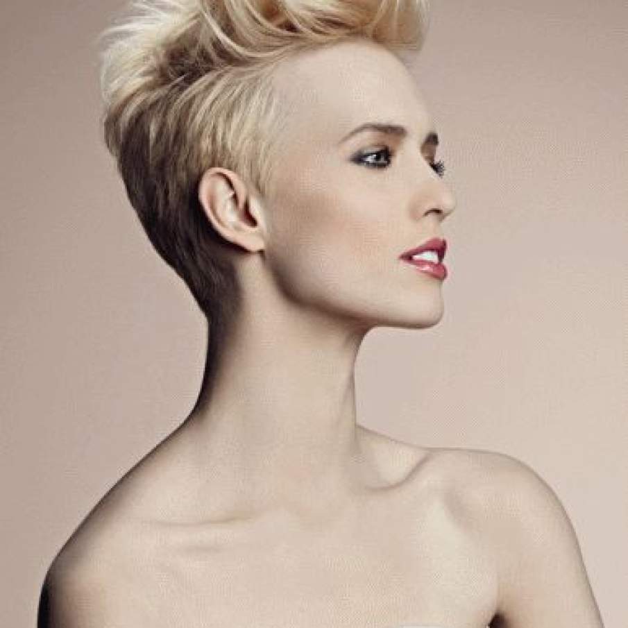 Coafura in stil Punk-Elegant