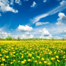 (P) O noua solutie pentru tratarea depresiei, panicii, anxietatii si stresului