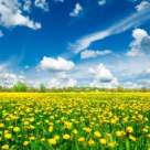 (P) O noua solutie pentru tratarea depresiei, panicii, anxietatii si stresului