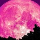 Super luna plină de pe 8 aprilie sau LUNA ROZ: Acolo unde se închide o ușă, în altă parte se deschide o alta