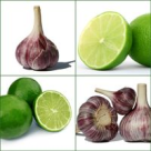 Antica, miraculoasa licoare egipteana