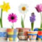 Superstitii, simboluri si traditii de Paste 