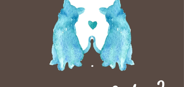 Ce observi prima oara in aceasta imagine? Cainele sau pisicile?