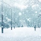 Nouăsprezece citate minunate despre zăpadă