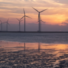 ONG-urile de mediu solicita Ministerului Energiei sa schimbe strategia dăunătoare pentru oameni și natură 