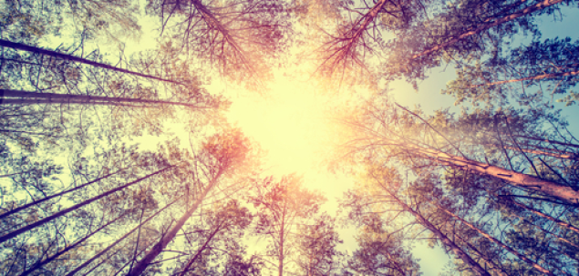 Ce iti transmite aceasta imagine?