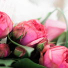 Ziua onomastica - 3 motive pentru a trimite flori sarbatoritelor