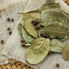 Frunzele de dafin – ecoul verde al înțelepciunii antice și puntea dintre trup, spirit și ritual