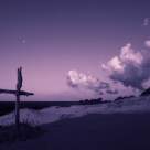 Duminica Floriilor - Semnificație, tradiții și obiceiurile de sărbătoare în România