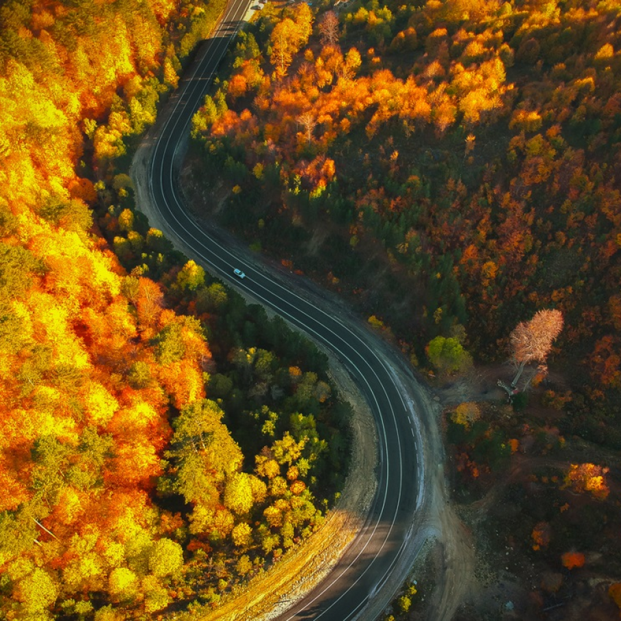 Vedere din drona: drum prin padurile Turciei, Bursa 