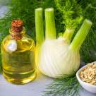 Fenicul, plantă aromatică versatilă și vindecătoare. Beneficii, întrebuințări și prepararea ceaiului din semințe de fenicul