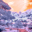 Natura magică: 15 fotografii în infraroșu ce par incredibile si suprarealiste 