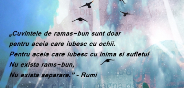  Ce  ganduri si sentimente iti provoaca acest poem de Rumi?