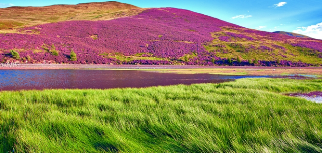 Alege zona care iti atrage atentia!