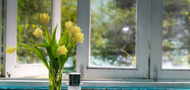 Cum percepi nivelul de lumina naturala din casa ta?