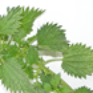 Detoxifiere intensa de primavara