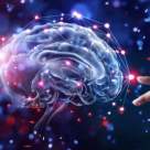 A.Vermeulen: 7 principii care iti intineresc CREIERUL cu cel putin 10 ani