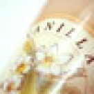 Strudel cu mere si nuca in deliciosul sos fierbinte de vanilie