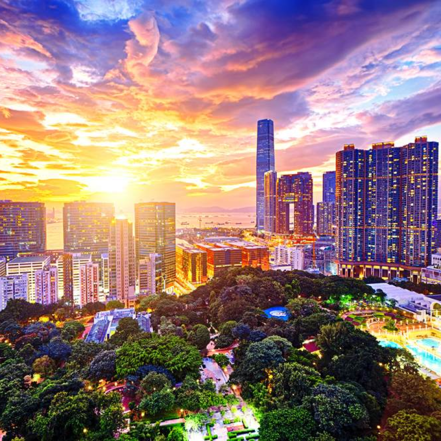 Apus in Hong Kong, China 