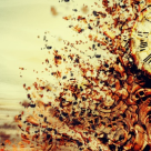 Esti un Suflet Batran? 14 Semne ca te afli in Ultima ta Reincarnare si ai ars karma vietilor anterioare