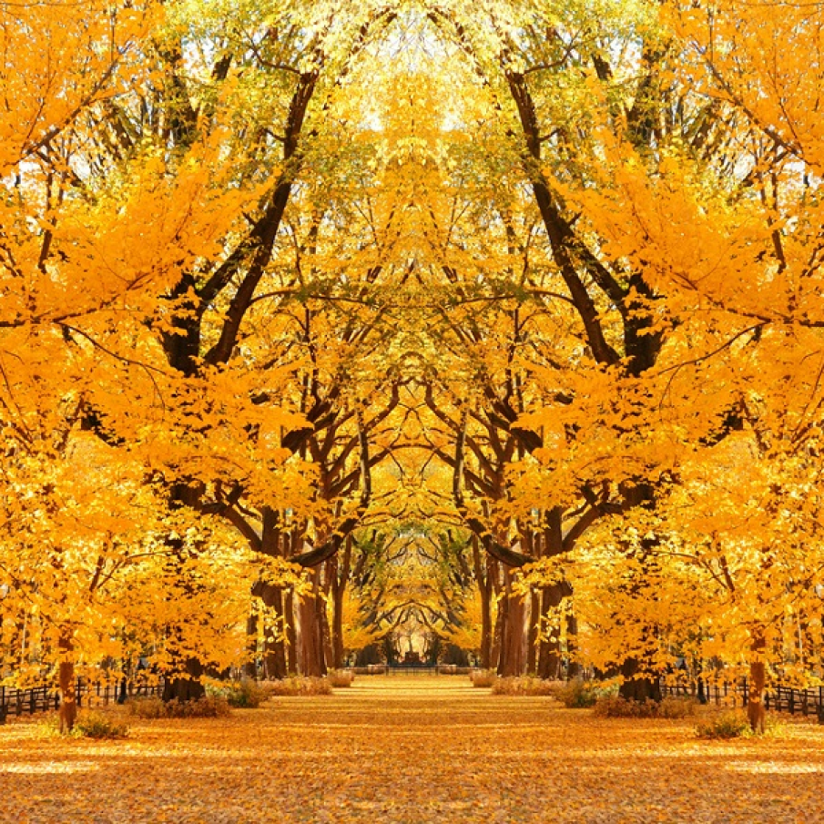 Aur in vazduh si pe pamant 