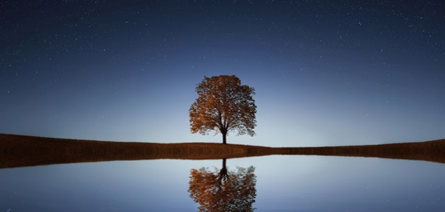 Care este locul in care te simti cel mai bine?