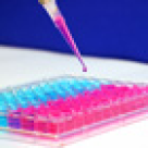 Teste genetice pentru depistarea cancerului de san