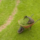 S-a dat startul Caravanei Colectarii Selective!