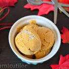  Inghetata de Dovleac 