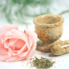 Beneficiile medicinei naturiste. Plantele MIRACULOASE care vindeca