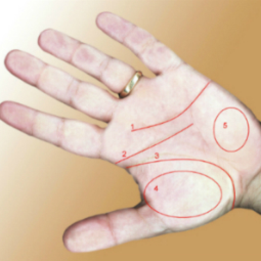 Simbolistica liniilor mainii