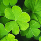 Horoscop săptămânal: Care este ziua ta norocoasă în funcție de zodie în săptămâna 24-30 noiembrie 2025?