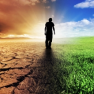 Testul Japonez al Vietii 