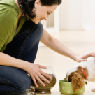 Ce trebuie sa manance animalul tau de companie pentru a fi sanatos?