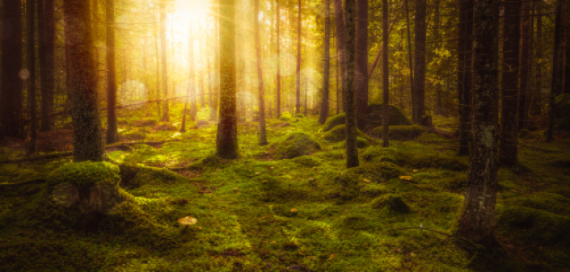 Cu cine ti-ai dori sa pleci intr-o calatorie lunga?