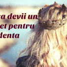 Jen Sincero - EXERCIȚIU: Cum să iubești banii și să devii un magnet pentru abundență