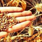 Ghid de viata sanatoasa in 2014. 12 sfaturi de aur, nepretuite