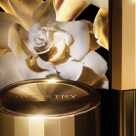 Luxul absolut in ingrijirea tenului: noua colectie Artistry Supreme LX de la Amway 