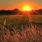 Cum să începi noul an cu mai mult curaj și deschidere la experiențe noi