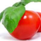 Rosii umplute cu ciuperci si carne