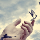 Cele 25 de legi ale lui Amor care fac diferenta in dragoste 