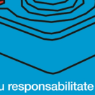 O altfel de piesa: Piesa cu responsabilitate limitata