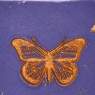 Magazinul naturist Puterea Plantelor își relansează platforma de shopping online