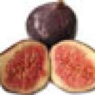 Tiramisu cu smochine