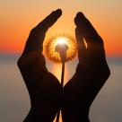 Protecția sufletului: Cum să-ți păstrezi echilibrul interior și liniștea în SUFLET astfel încât să nu te pierzi niciodată