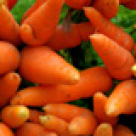 Crema de morcovi