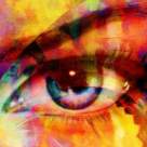 7 diferente de perceptie: Cum vede un OM SPIRITUAL lumea V.S. un OM OBISNUIT